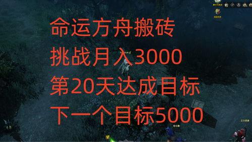 方舟金价爆料最新消息新闻,市场动态揭秘，投资风向标再起波澜