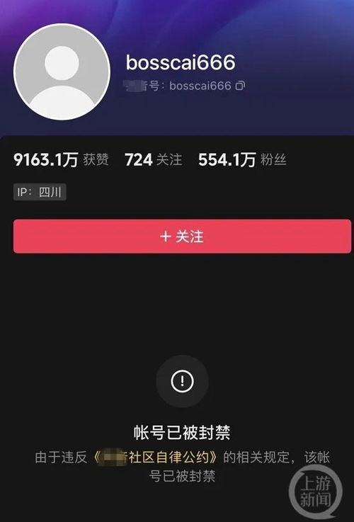 蔡老板最新爆料事件视频,揭秘事件背后惊人真相